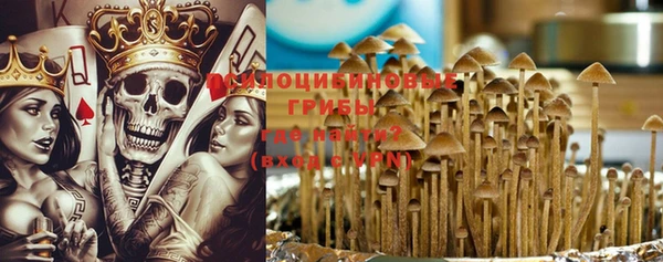 дурь Иннополис