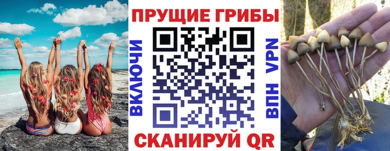 Псилоцибиновые грибы прущие грибы  Купить где  Рыльск 